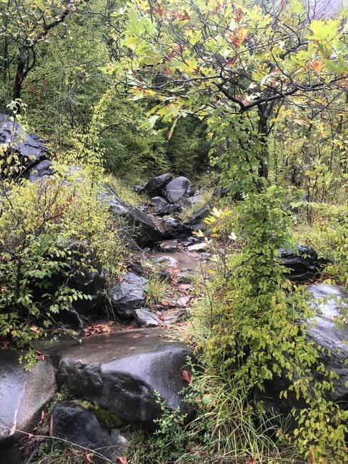 Dajti Cable Car and Shengjergj Waterfall Tour with Lunch - The Sum Up