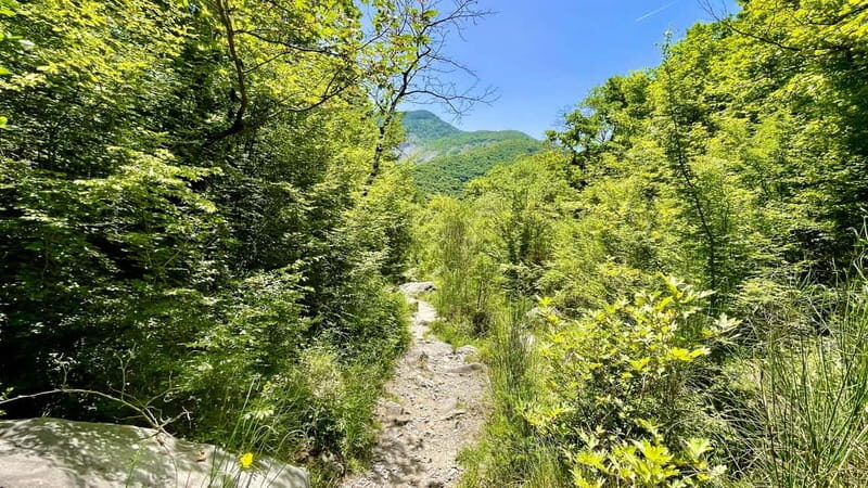 Dajti Mountain & Shengjergj Waterfall Day Trip on Land Rover - Final Thoughts: Is This Tour Worth It?