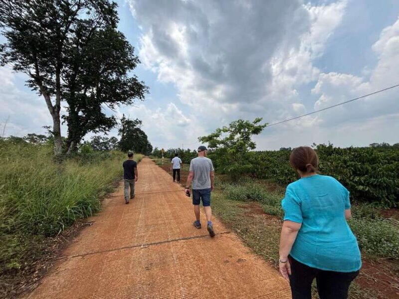 Dak Lak BMT Coffee Tour - Exploring the Dak Lak BMT Coffee Tour: An In-Depth Look