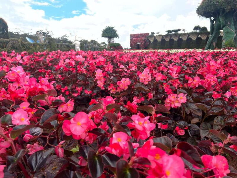 Dalat City Sightseeing Private Tour With Funny Guide - Who Would Love This Tour?