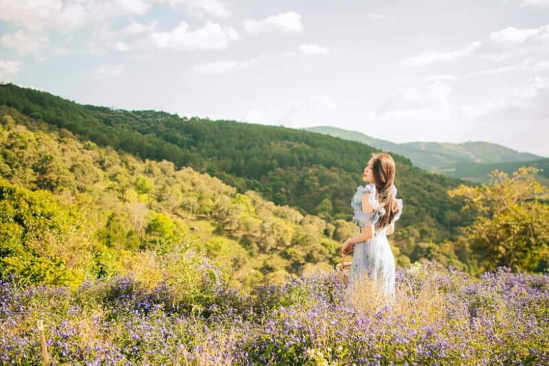 Dalat City Tour with Mario Kart, Cable Car, Alpine Coaster.. - Final Thoughts