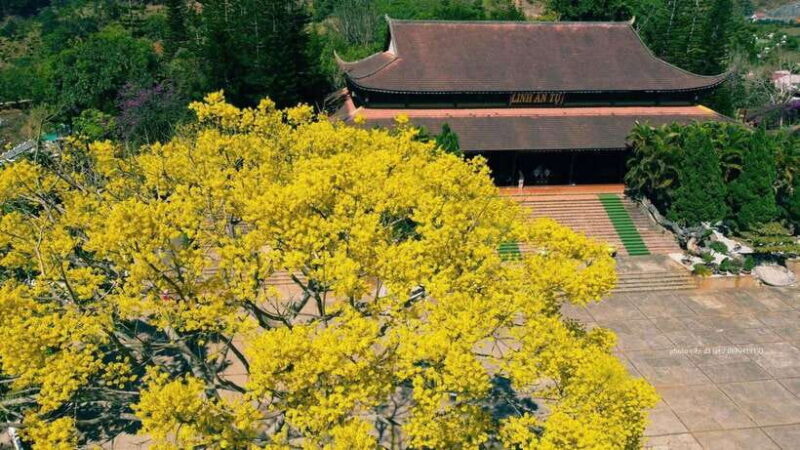 Dalat Countryside & Pongour Waterfall Tours (Small Group) - Exploring the Da Lat Countryside: An Authentic Day Out