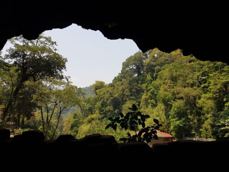 Dalat: Countryside Tour with Silk Village & Elephant Falls - Who Should Consider This Tour