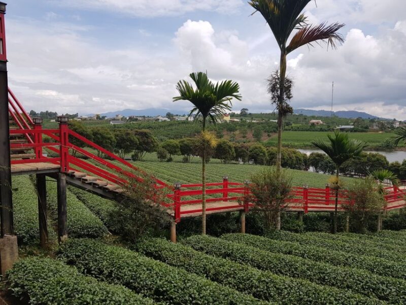 Dalat: Countryside Tour with Silk Village & Elephant Falls - Final Thoughts