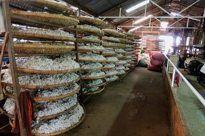 Dalat Countryside with Pongour & Elephant waterfalls tour - 1Day - FAQs