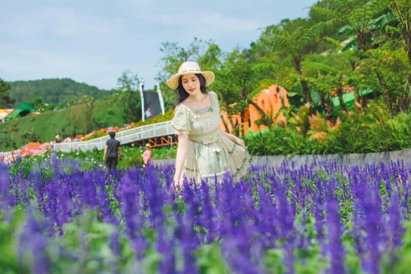 Dalat: Fun and Farm Experience with Local Guide - Key Points