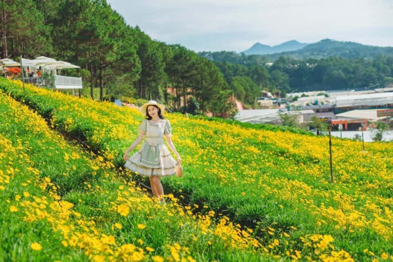 Dalat: Fun and Farm Experience with Local Guide - An In-Depth Look at the Dalat Farm Experience