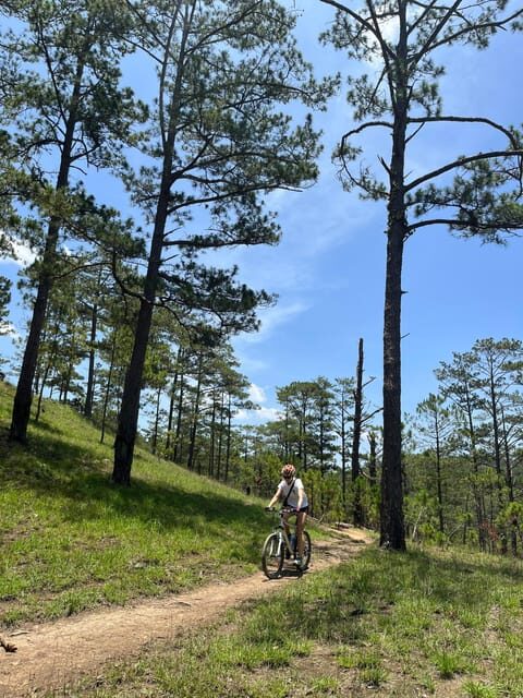 Dalat mountain biking tour - Dalat Mountain Biking Tour: An Authentic Adventure in Central Vietnam