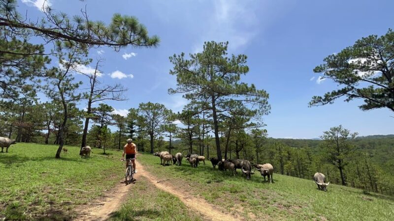 Dalat mountain biking tour - FAQs