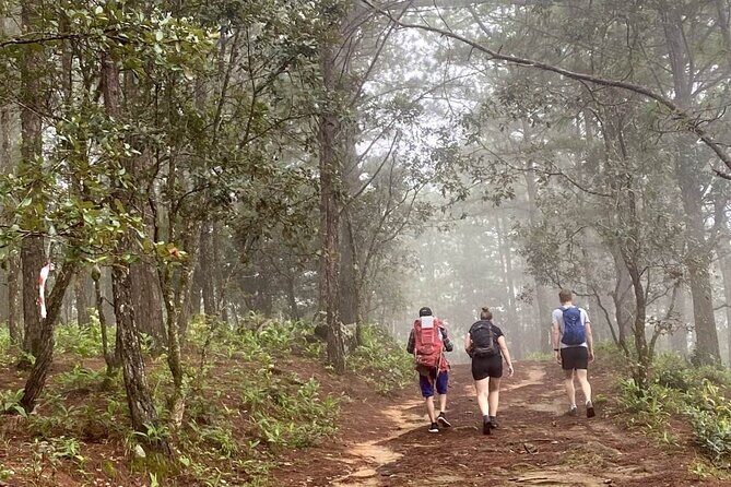 Dalat Pinhatt Peak Jungle Trek and Tuyen Lam Lake - An Authentic Adventure in Da Lat’s Green Heart