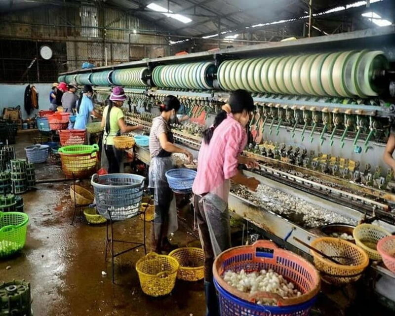 Dalat: Private Tour with Elephant Waterfall and Pagoda - Who Should Consider This Tour?