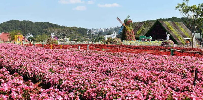 Dalat: Sightseeing and Waterfalls Tour - Exploring Dalat: A Deep Dive