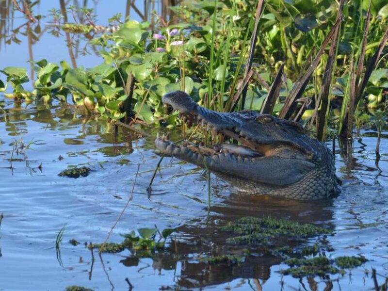 Dalat to Cat Tien National Park & Ho Chi Minh (2 or 3 Days) - Who Should Consider This Tour?