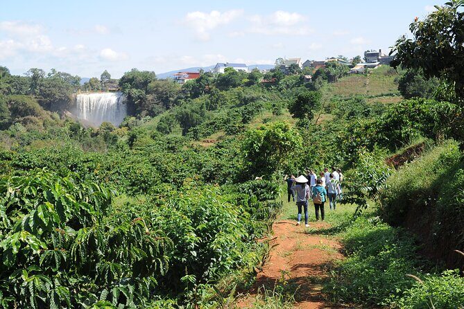 Dalat's countryside|Coffee Plantations Tour beyond Elephant falls - Why Choose This Tour?