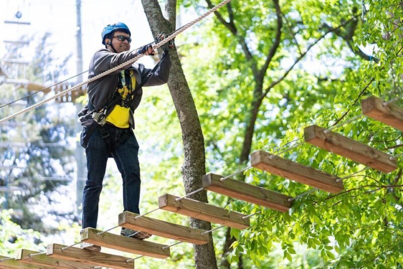 Dallas: Aerial Adventure Course Park Pass - Dallas: Aerial Adventure Course Park Pass — Your Guide to the Canopy Thrills