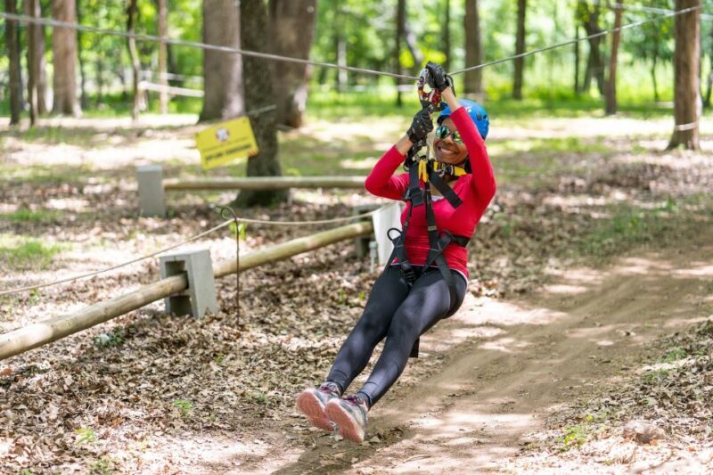 Dallas: Aerial Adventure Course Park Pass - Who Should Consider This Experience?