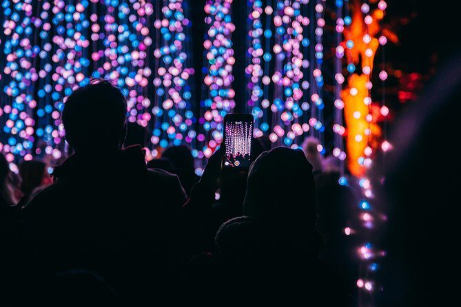 Dallas Christmas Lights Tour - An In-Depth Look at the Dallas Christmas Lights Tour