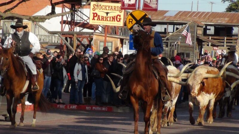 Dallas: City & Fort Worth Combination Tour - Authentic Experiences That Stand Out