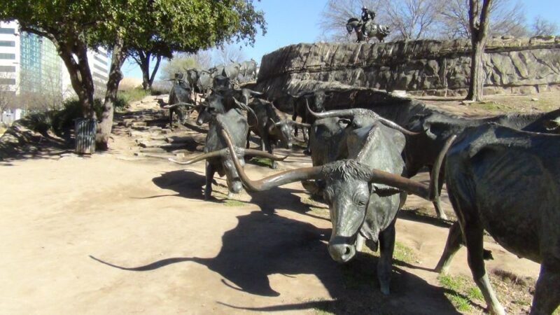 Dallas: City & Fort Worth Combination Tour - Frequently Asked Questions