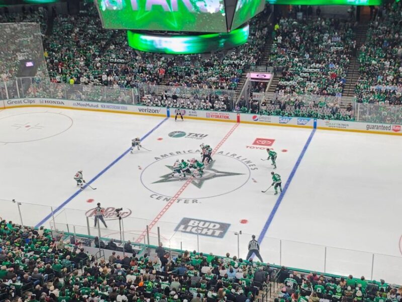 Dallas: Dallas Stars NHL Ice Hockey Game Ticket - Who Will Love This Experience?