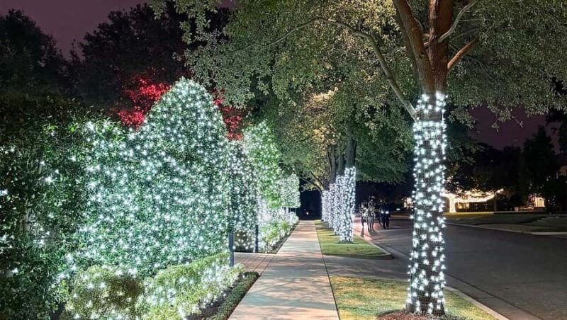 Dallas: Holiday Lights Tour Highland Park - Who Should Book This Tour?