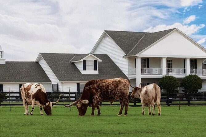 Dallas Southfork Ranch Private Limousine Tour - Authentic Texas and TV Culture