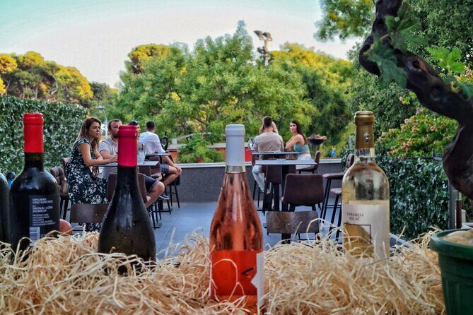 Dalmatian wine tasting by Bottiglia wine & deli - A Closer Look at the Dalmatian Wine Tasting Tour