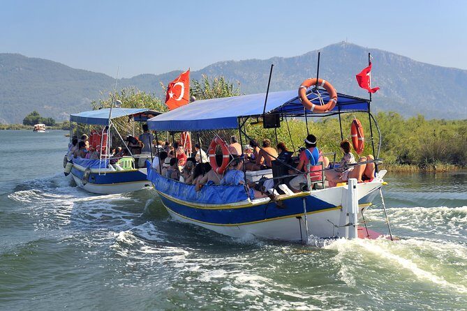 Dalyan Mud Baths and Turtle Beach Day Tour From Fethiye - Practical Details and Value
