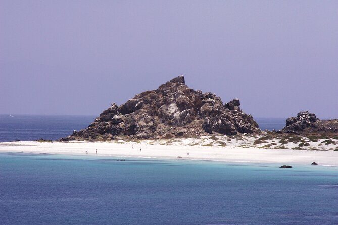 Dama Island or Chañaral Navigation Tour Humboldt Penguin Reserve - Who Will Love This Tour?