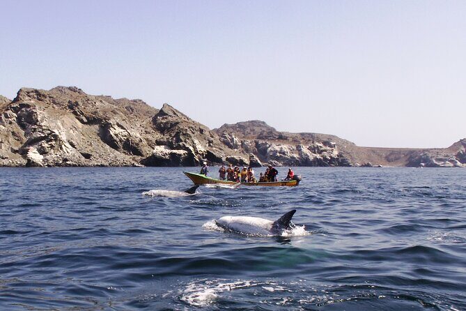 Dama Island or Chañaral Navigation Tour Humboldt Penguin Reserve - FAQ