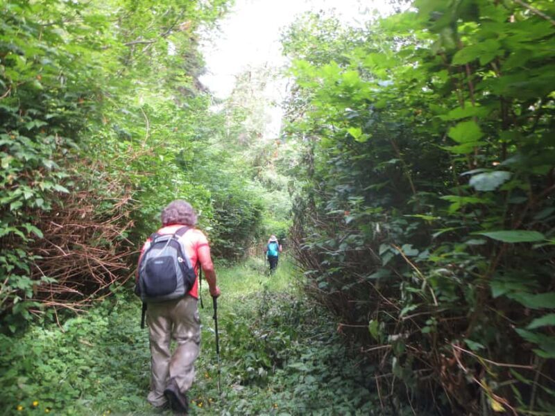 Damajagua: 27 Waterfalls Tour with Entrance Fee & Lunch - Key Points