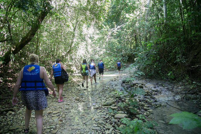 Damajagua Waterfalls Adventure - Key Points