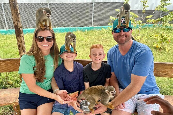 Damajagua Waterfalls and Monkey Private Van Tour - A Practical Guide to the Damajagua Waterfalls and Monkey Tour