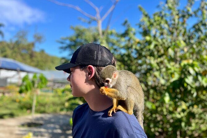 Damajagua Waterfalls and Monkey Private Van Tour - Final Thoughts: Is This Tour Worth It?