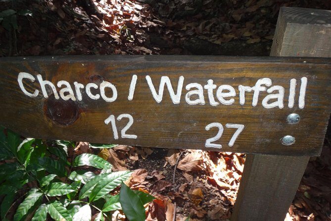 Damajagua Waterfalls for Cruise Ship Passengers - Remember: Book early, wear appropriate footwear, and be ready for some unforgettable fun. The waterfalls are waiting for you.