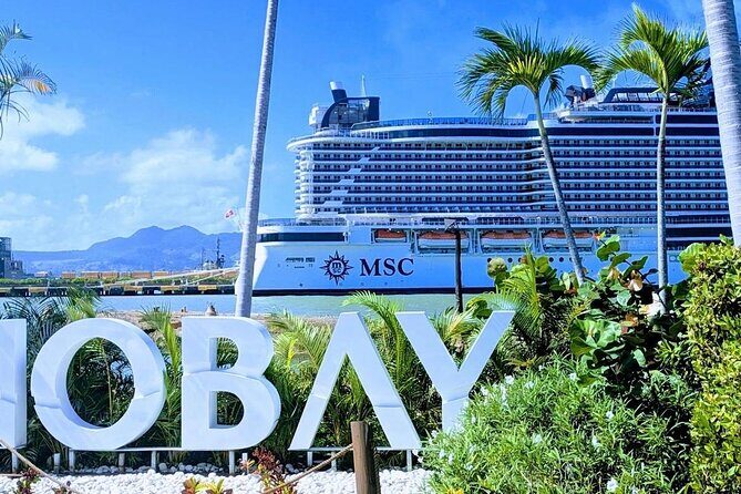 Damajagua Waterfalls Private Tour with Lunch - Frequently Asked Questions