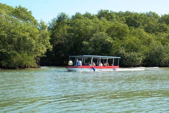 Damas Island by Boat Tour From Manuel Antonio - Key Points