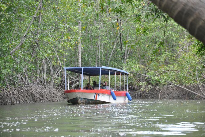 Damas Island by Boat Tour From Manuel Antonio - In-Depth Review of Damas Island Boat Tour