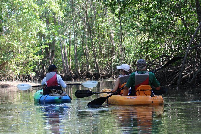 Damas Island Kayaking Mangrove Tour from Manuel Antonio - Key Points