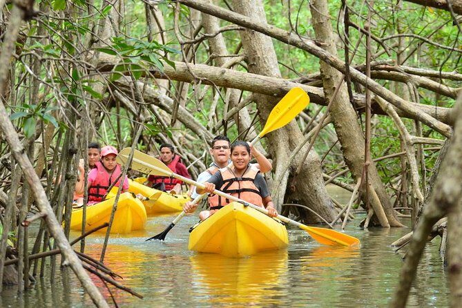Damas Island Kayaking Tour From Manuel Antonio - An In-Depth Look at the Damas Island Kayaking Experience