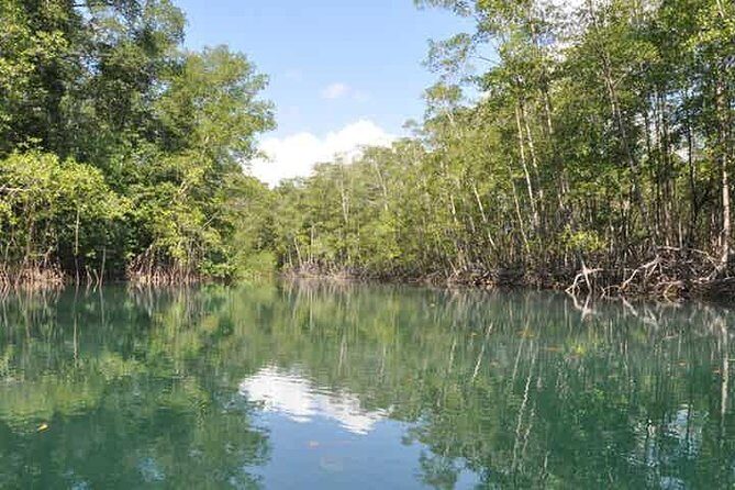 Damas Island Kayaking Tour From Manuel Antonio - Final Thoughts