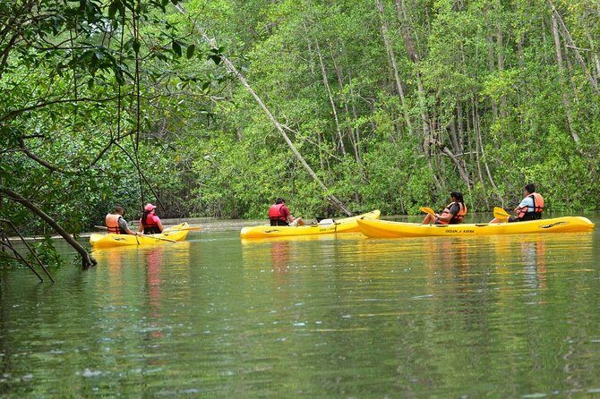 Damas Island Mangrove Kayaking Tour from Manuel Antonio - Key Points