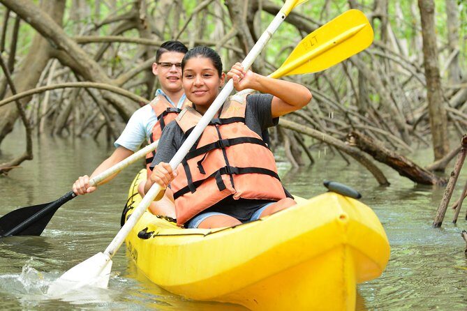 Damas Island Mangrove Kayaking Tour from Manuel Antonio - Key Points