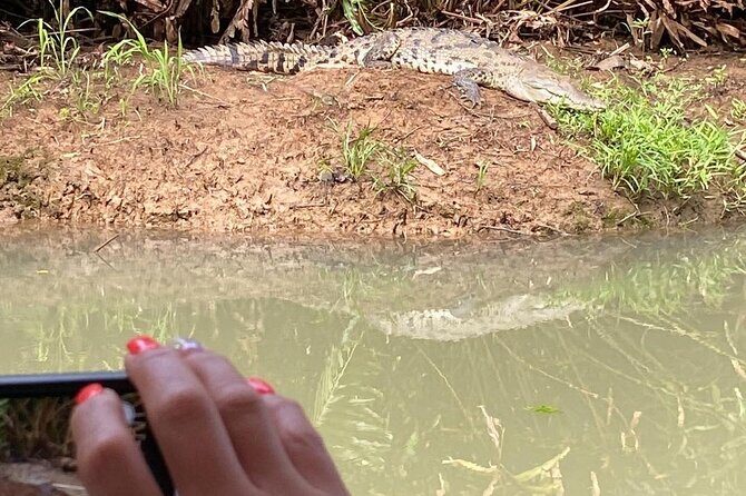 Damas Island Mangrove Tour with Monkeys - Navigating the Mangroves