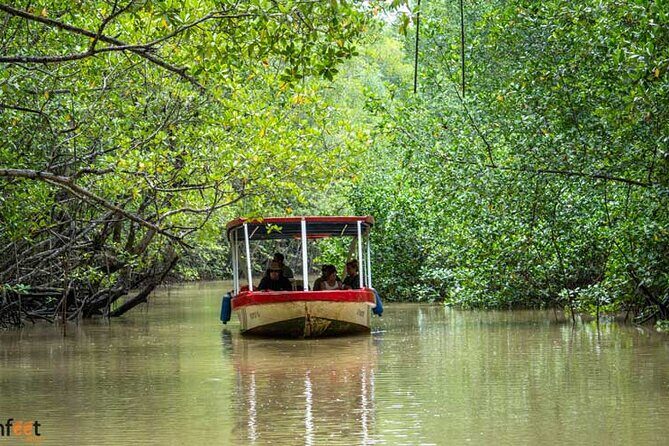 Damas Mangroove Boat Tour from Manuel Antonio - Key Points