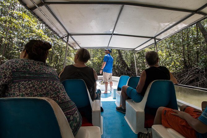 Damas Mangroove Boat Tour from Manuel Antonio - The Costa Rican Lunch: A Satisfying Finish
