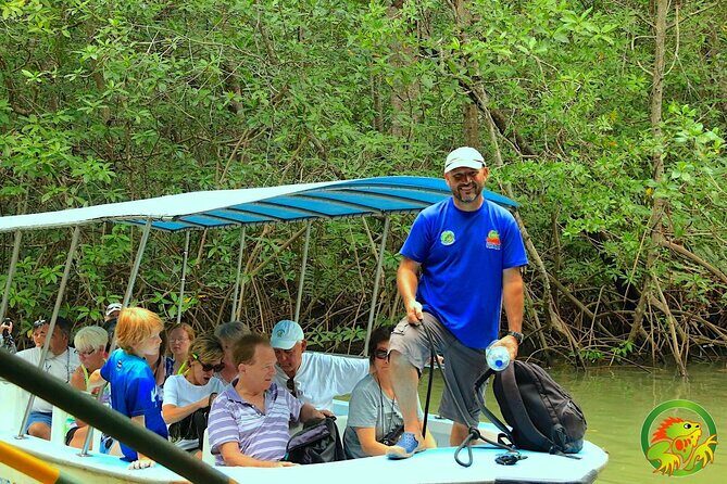 Damas Mangrove Boat Tour - Key Points