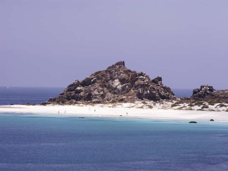 Damas or Chañaral islands: Whales & Humboldt Penguin Reserve - Key Points