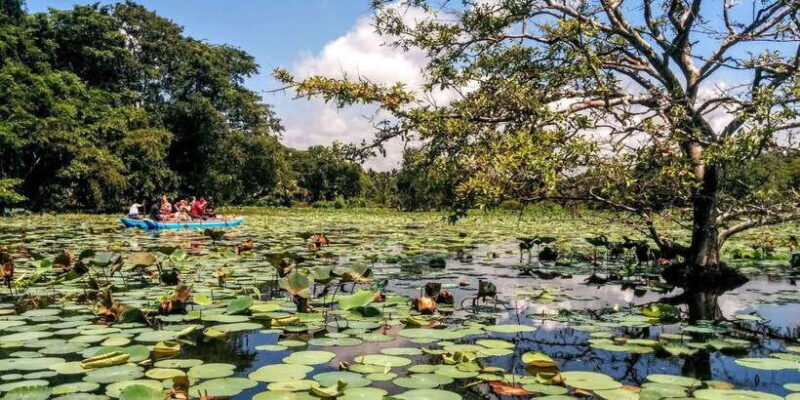 Dambulla: Cave Temple and Village All-Inclusive Tour - FAQ