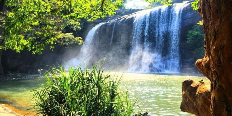 Dambulla to Knuckles: Overnight Trekking & Hiking Adventure - Day 2: Summit and Scenic Return